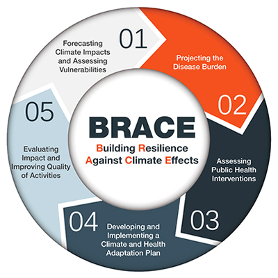 CDC BRACE Framework